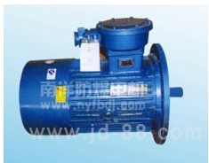 防爆電機(jī)發(fā)展迅速的原因有哪些